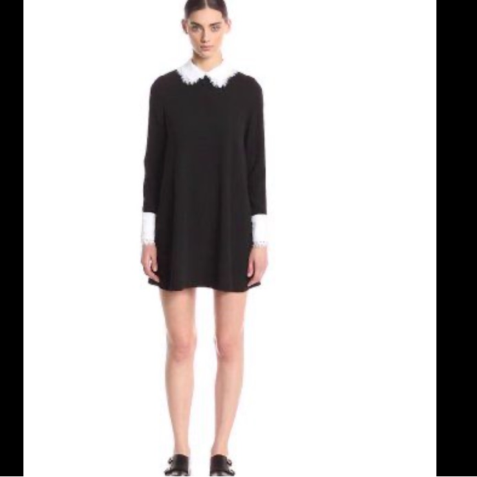 Rachel Zoe Nwt Luxe Lace French Cuff N Collar Shift Dress High End Line